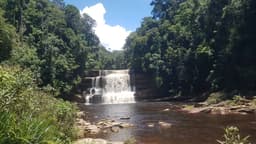 4D3N Maliau Basin (Matta Fair)